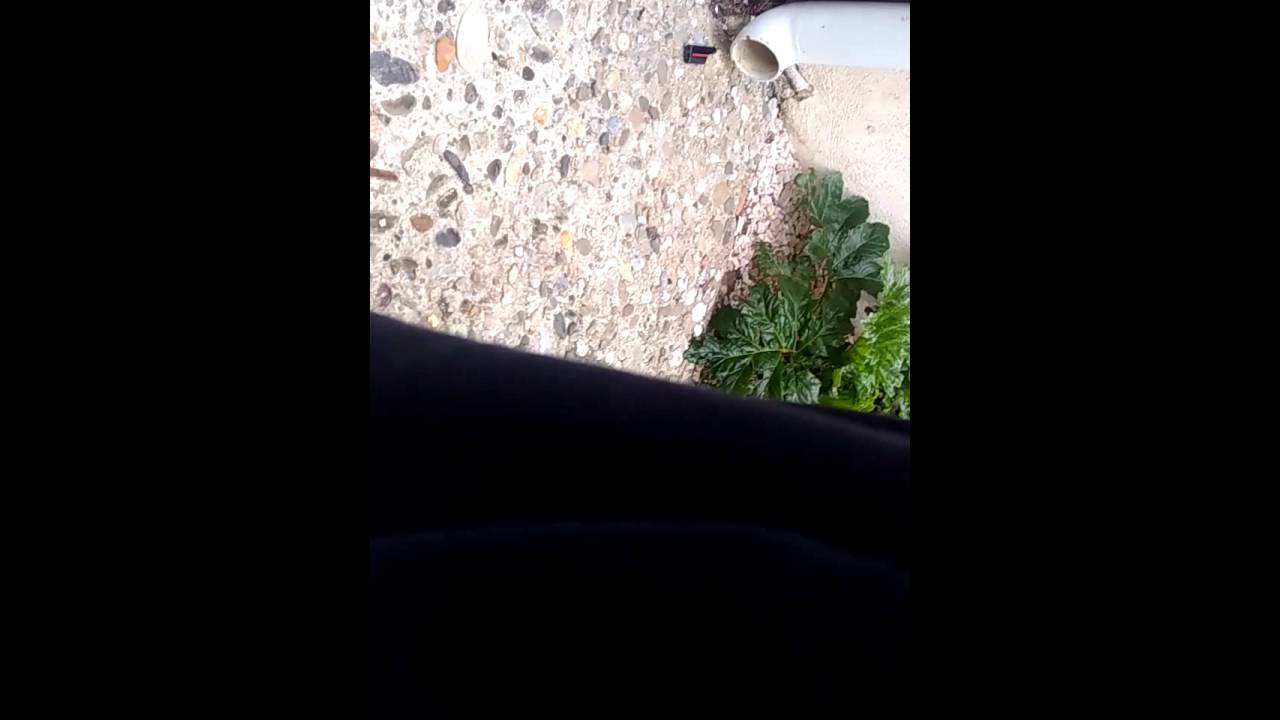 Moment epic une folle nous gueule dessus avec un poto