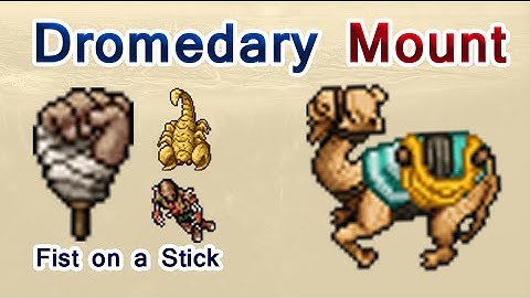 Tibia: Dromedary Mount ¿Cómo conseguirla?