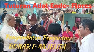 TUTURAN ADAT ENDE- FLORES, PENYAMBUTAN PENGANTIN: BONAR & JELITA