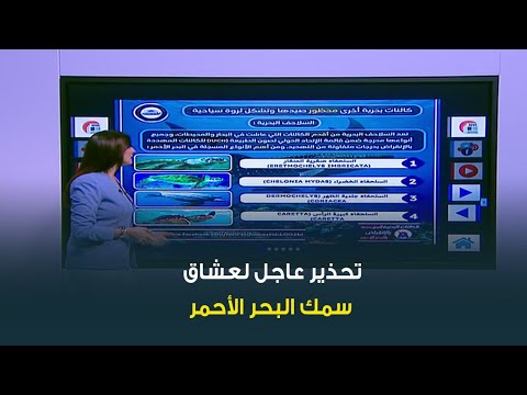 حديث القاهرة مع كريمة عوض تحذير عاجل لعشاق سمك البحر الأحمر معلومات هامة من معهد علوم البحار