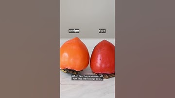 How to Eat Hachiya Persimmons! #shorts #fruit