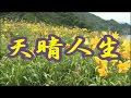 天晴人生    出雲光一  COVER