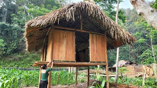 Full Video: Woman Building A Wooden Cabin Alone In The Wild Forest | Log Cabin Build by Pham Tâm 2,176 views 6 days ago 3 hours, 28 minutes