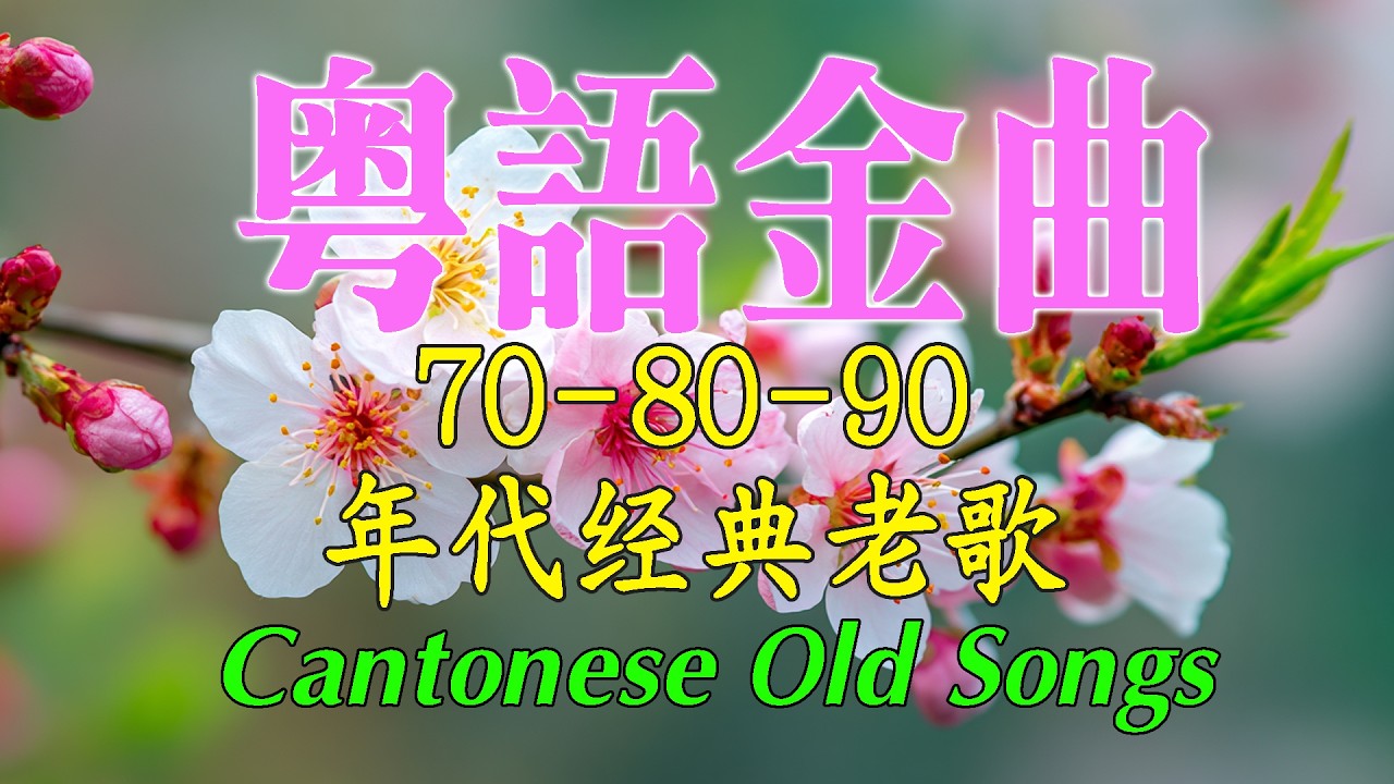 這些首歌带你回到80 90年代🌸💖粤语经典怀旧歌曲 | 30首寶麗金經典粵語歌曲🎶Cantonese Golden Songs: 天若有情，旧梦不须记，情人的眼泪，万水千山总是情，诺言