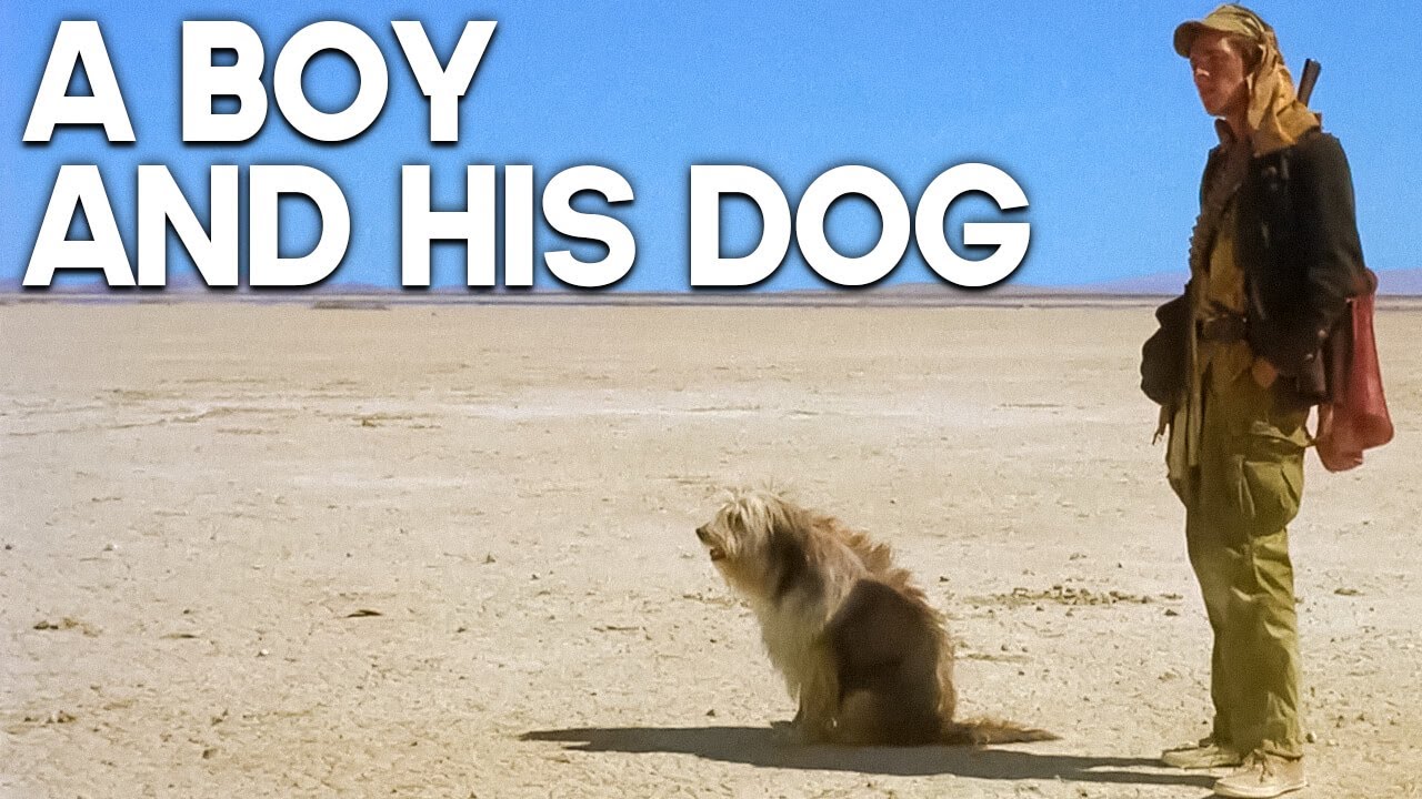 A Boy and His Dog | Post-Apocalypse | Don Johnson | Classic Drama Film -  YouTube