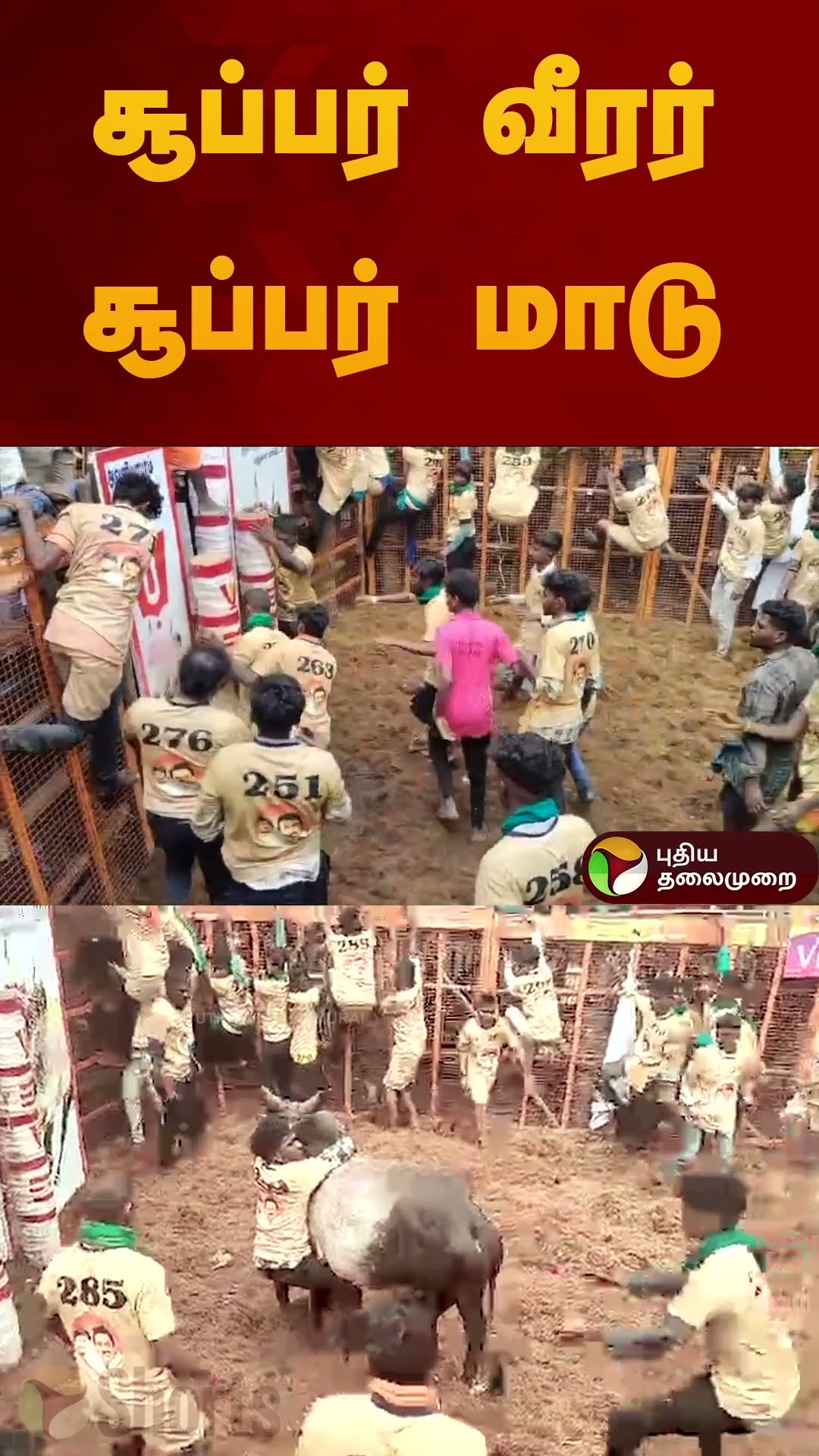 சூப்பர் வீரர் சூப்பர் மாடு | #jallikattu2025 | #madurai | #shorts