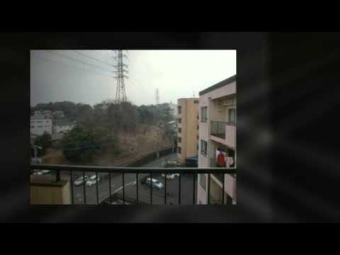 シェリール井堀通り Youtube シェリール井堀通り Youtube