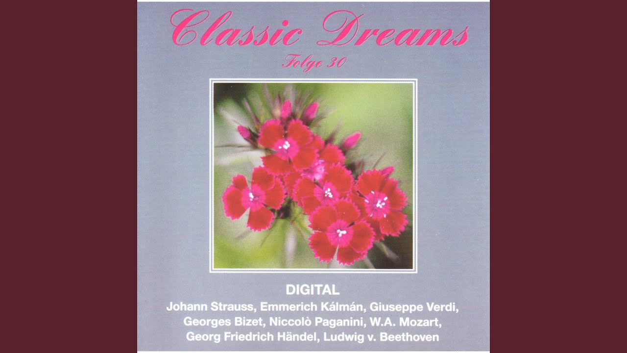 Salzburger Symponie Nr. 1, D-Dur, KV 136: III. Presto