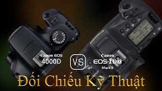 Canon EOS 4000D và Canon EOS-1D X Mark II: Một Đối Chiếu Về Thông Số Kỹ Thuật