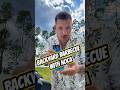 Grilling The Perfect Steak How Many Can We Drink Youtubeshorts Share Reels Shorts Fyp Diy Bbq 