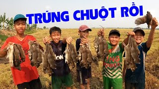 Một Ngày Bắt Chuột Trúng Mánh Của Team | Bảy Đúng TV