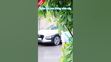 Khi ĐỒ ĂN là CON NGƯỜI - ĐẠI CHIẾN đồ ăn của ANDEE ĐẬU#lioleo #shorts #andeedau