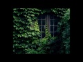 Lets lumos  a house grown with ivy