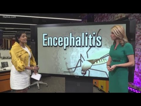 Video: Kde je koňská encefalomyelitida?