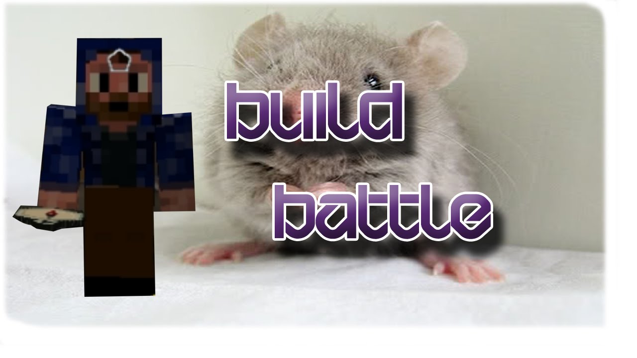 Mouse Build Battle Minecraft Build battle Mouse OH NO - YouTube