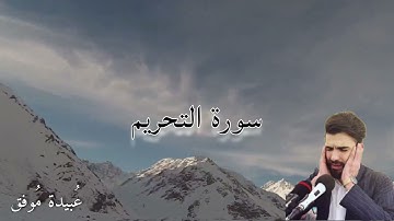 عبيدة موفق من أجمل أصوات القرآن   سورة التحريم   Obaida Muwafak   Surah Tahrim  HD