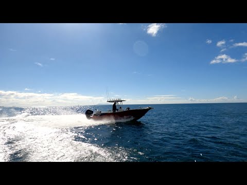 YouTube video poster