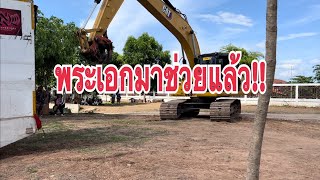 มาแล้วพระเอกตัวจริง#สาวน้อยเพชรบ้านแพง