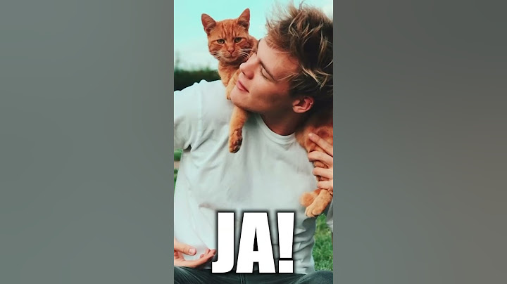 Lasst Julien und Gnu NIEMALS mit einem Greenscreen Anzug allein!