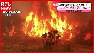 【山火事】６５人が死亡 “放火”の可能性も…アルジェリアで森林地帯燃え尽くす勢い