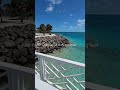 I'm borderline happy in Ocean Cay Island Bahamas  Msc Marine Reserve #oceancaybahamas #borderlinehap