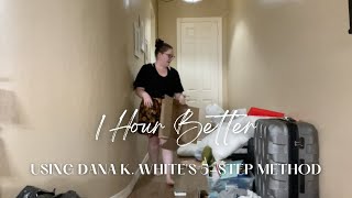 1 Hour Better~Decluttering with Dana K. White's (A Slob Comes Clean) 5Step Method