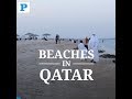 List of 10 amazing beaches in qatar