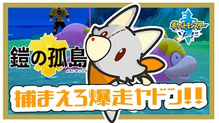 【ポケットモンスターソード】画面酔いぬいぐるみは冒険する！#10