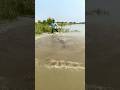 Big Fish Catching By CastNet