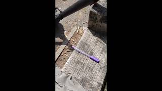 Apophenia in action - The mystery of the purple pen