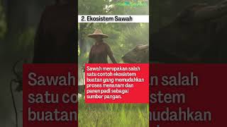 Contoh-Contoh Ekosistem Buatan dan Manfaatnya