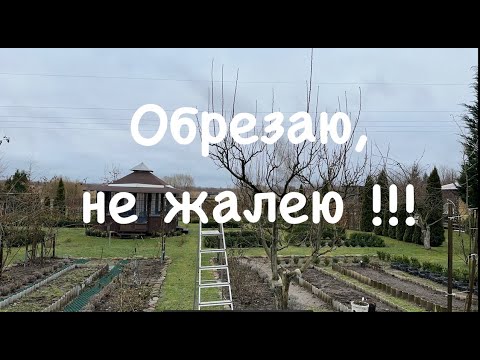 Обрезка садов работа. Обрезка садов работа