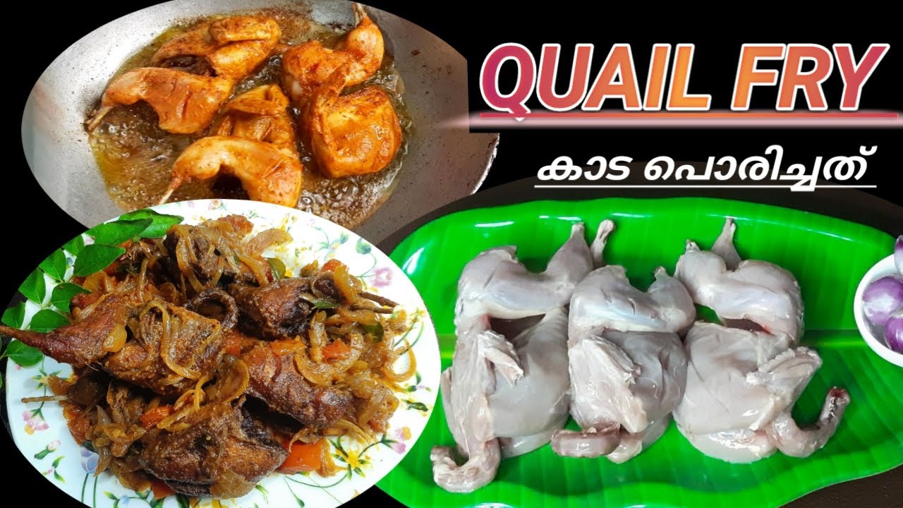 QUAIL FRY WITH THICK GRAVY RECIPE ROASTED QUAIL QUAIL FRY RECIPE