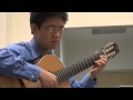 Steve Lin - Mertz - Song without words
