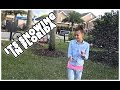 😊IT'S SNOWING IN FLORIDA 😊AND THE PAINTING PARTY IS OVER 😊 FAMILY VLOG 😊 SMELLY BELLY TV