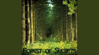 Video thumbnail of "Derek Fiechter - Forest of Forgetfulness"