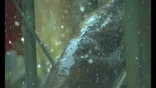 Fountain of Abundance - Clip #14 - West Acres Mall - Fargo ND