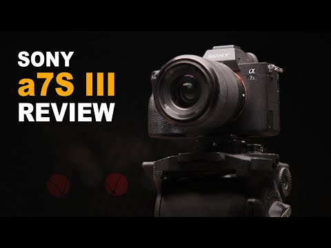 Sony a7S III Review + Canon EOS R5 Comparison for Cinematography