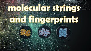 13. Molecular Strings and Fingerprints (RDKit tutorial)