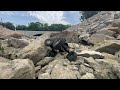 Almost died! - RC Crawler - Class 3 - Artful Dodgers Ground Fox 2.0 - Vanquish Axles - Toyota - 4K