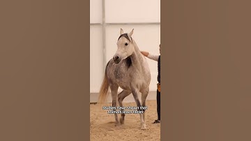 Liberty Training That Builds Trust — Not Fear