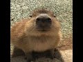 ø ø ùšùø ø øoùùšø ùùø ø ù ø ù ùùšø ùšø шрек ø ø ùšùø ø øoùùšø ùùø ø ù ø ø ùšùø ø øoùùšø ùùø ø ù ø ù ùùšø ùšø шрек ø ø ùšùø ø øoùùšø ùùø ø ù