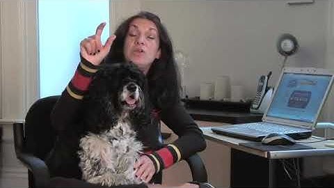 How Can I Enlarge the Font Size on Firefox?