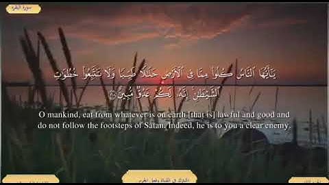 سورة البقرة من الاية ( 164 ) الى الاية ( 169 ) مكررة للحفظ بصوت ( ياسر الدوسري )