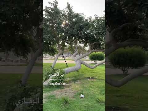 عودة المعلمين والمعلمات بداية إنضباط ابناءنا فمرحبا بعودتهم الميمونة اكسبلور تصويري المعلم  عودة المعلمين والمعلمات بداية إنضباط ابناءنا فمرحبا بعودتهم الميمونة اكسبلور تصويري المعلم