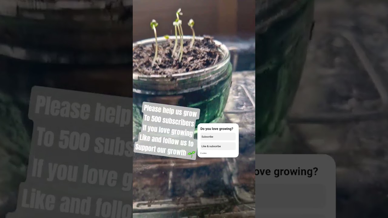 Do you love growing plants? Please help us grow too 🌱🙏