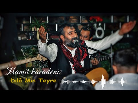 Hozan Hamid - Dilê Min Teyre (Akustik 2024)