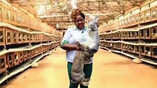 Champion Rabbit Farmer | COST AND PROFIT AMOUNT SHE USED TO START