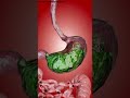 Why stomach acid doesn't dissolve stomach? #facts #youtubeshorts #shorts