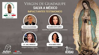Virgen de Guadalupe, Salva a México | Impactantes Testimonios